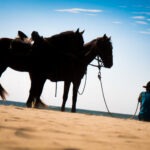 Paarden op het strand van Máncora