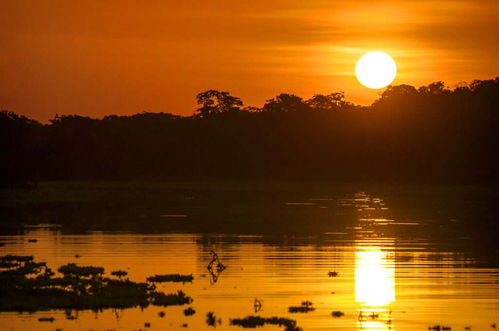De Amazone-rivier bij zonsondergang